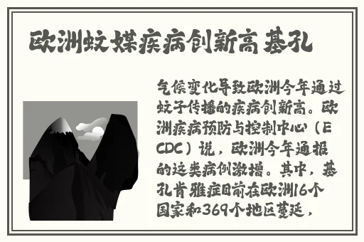 张雨绮人文艺术欣赏ppt